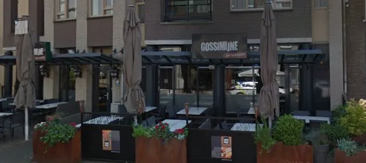 Gossimijne Veghel
