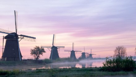 Diner Cadeau Alblasserdam Het wapen van Alblasserdam