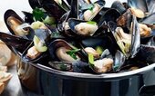 Diner Cadeau Grobbendonk Brasserie Hof van Eisterlee