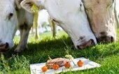 Diner Cadeau Spier De Woudzoom