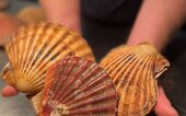 Diner Cadeau Terschelling Gastrobar Onder de Pannen