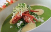 Diner Cadeau Soeren Gastrobar Oranje