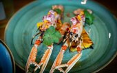 Diner Cadeau Noordwijk Quartier Nord