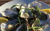 Diner Cadeau Lauwersoog Waddengenot aan Zee