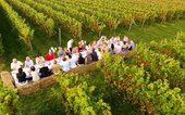 Diner Cadeau Bentelo Wijngaard Hof van Twente