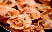 Diner Cadeau Eindhoven Woensel Wereldkeukens
