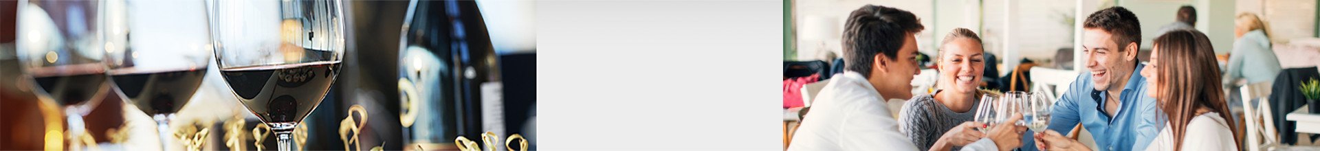 banner-links